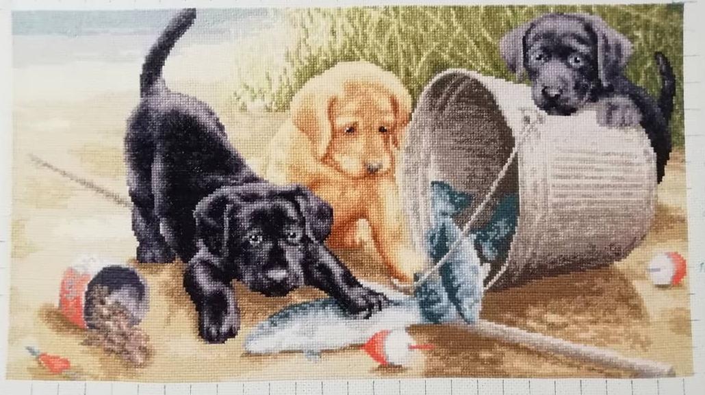 Изображение к отзыву Ирина