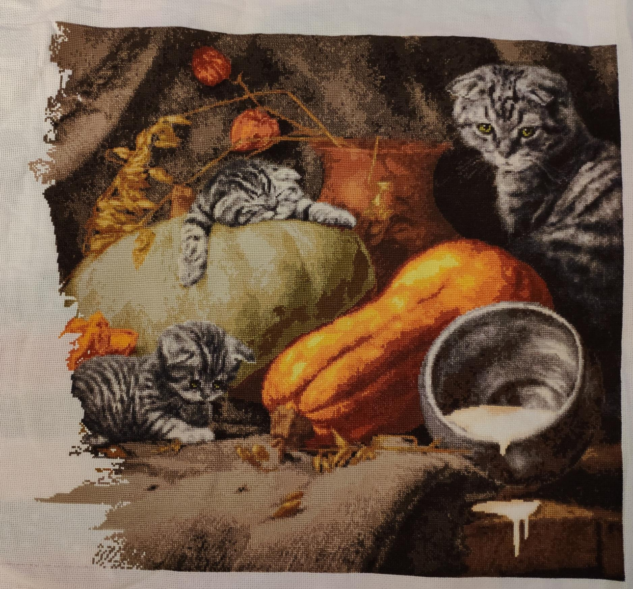 Изображение к отзыву Екатерина Пожидаева